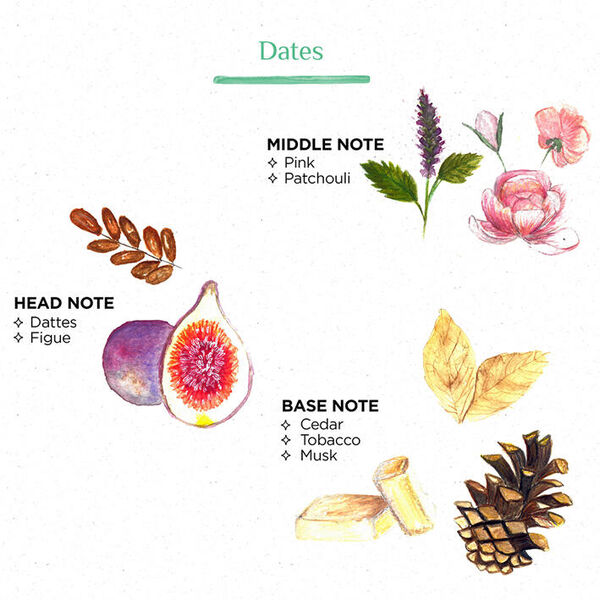 Côté Bougie geurkaars Scents of Marocco - Dattes
