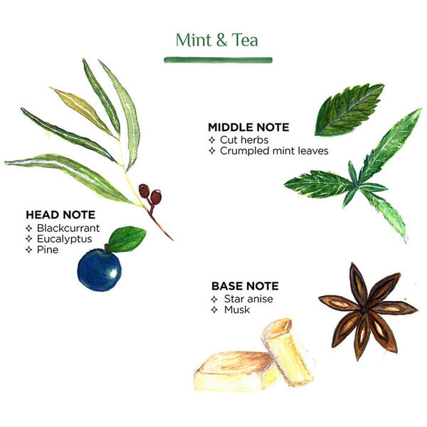 Côté Bougie geurkaars Tamegroute - Menthe & The