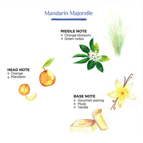 Côté Bougie geurkaars Zebre - Mandarine/majorelle
