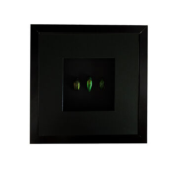 Decoratieve lijst met torretjes groen