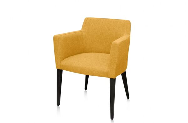 Jasy armstoel linnen 36