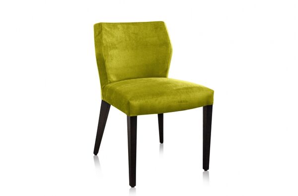Jasy eetkamerstoel fluweel velours 002 