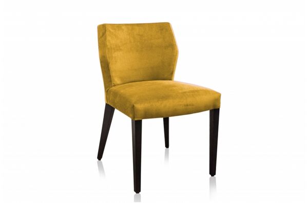 Jasy eetkamerstoel fluweel velours 005