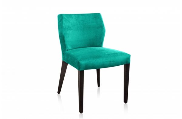Jasy eetkamerstoel fluweel velours 006