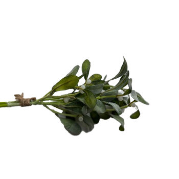 mistletoe 2 stuks