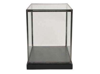 Showcase cabinet rectangular