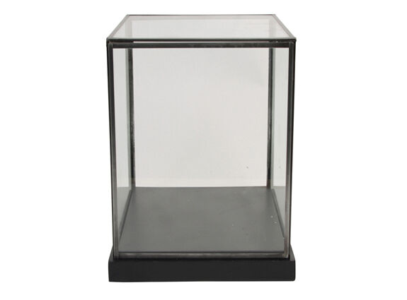 Showcase cabinet rectangular