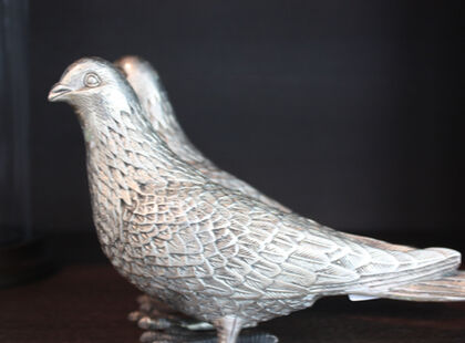 Silver bird 