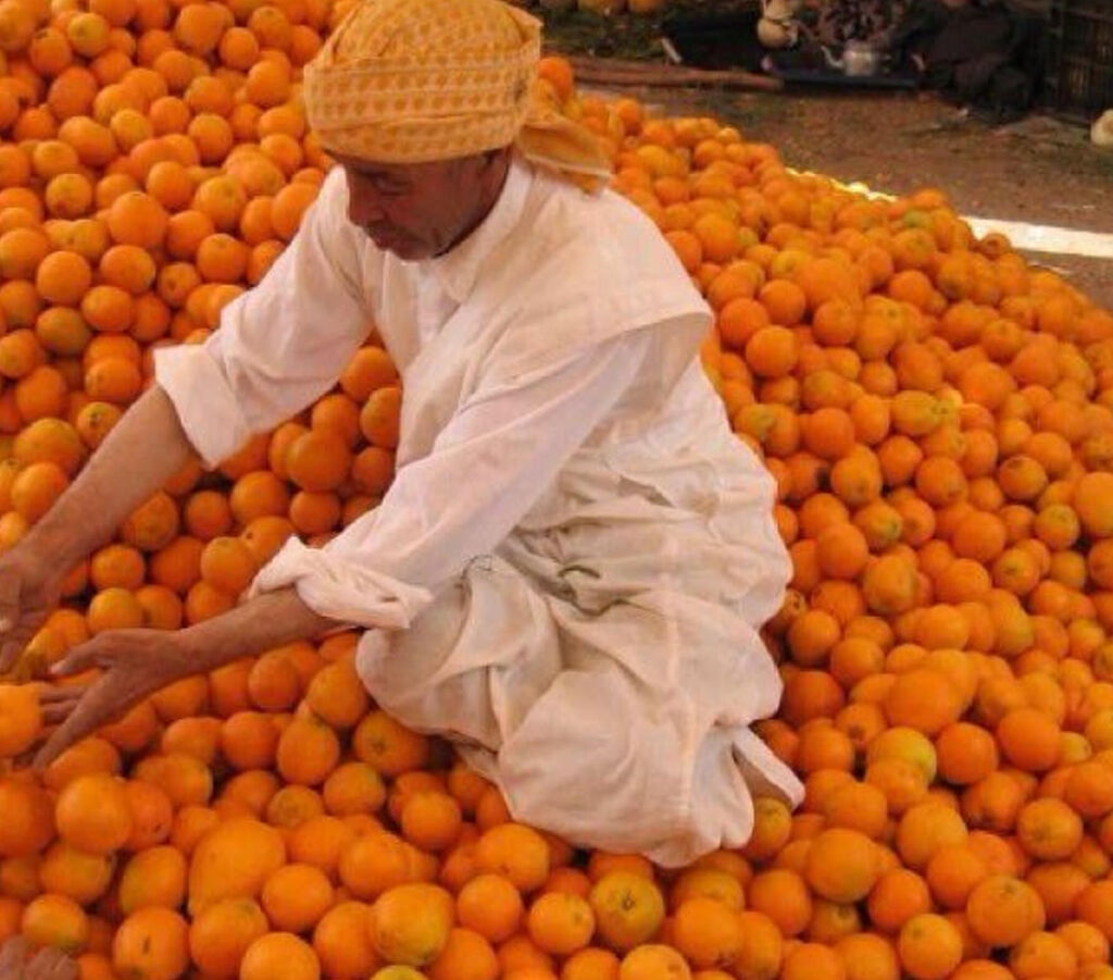 Traditie en vakmanschap uit Marrakech