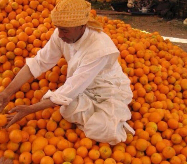 Traditie en vakmanschap uit Marrakech
