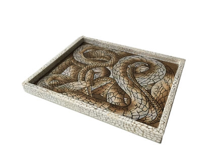 Tray Snake 35x26