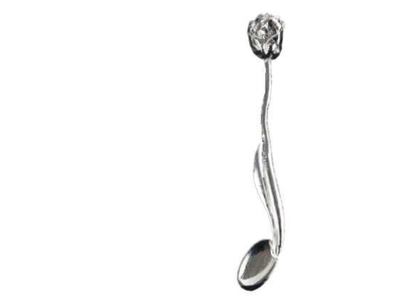 Tulipe spoon set van 4